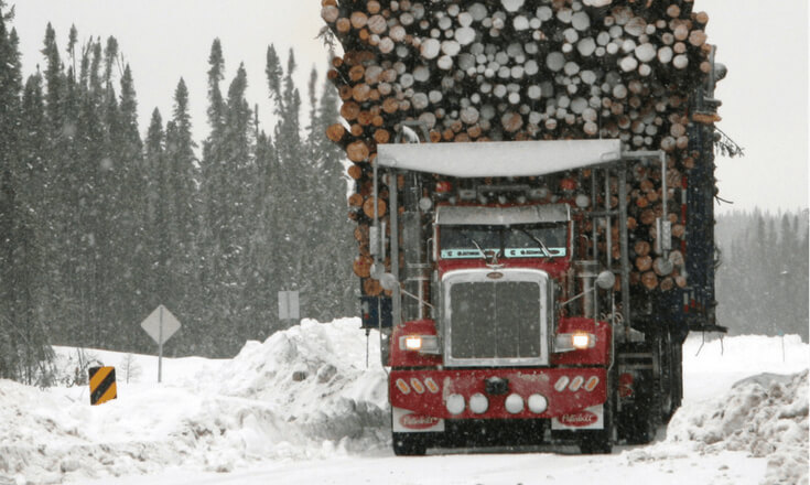 Truck Drivers: The Heroes of Christmas